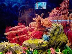 -上海中国航海博物馆