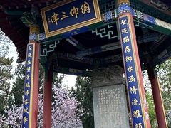 -桃花堤公园