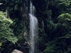 -西岭雪山大飞水景区