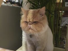 -小时光咖啡馆(开森度假森林店)