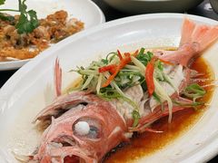 -吴记富苑(朝阳店)