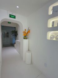 -安那般那皮肤年轻化ANAPANA