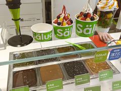 -Salud撒露欧洲冻酸奶(蓝色港湾店)
