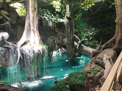 -福州罗源湾海洋世界旅游区