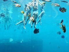 -瑞德姆美人鱼海底演艺主题餐厅(亚龙湾店)