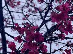 -马峦山郊野公园