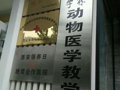 -芭比堂动物医院·犬猫全科·异宠专科(雁塔分院)