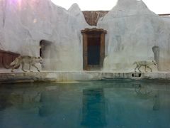 -秦皇岛乐岛海洋王国