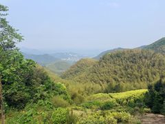 -莫干山风景区