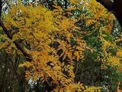 -白塘生态植物园