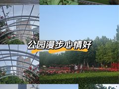 -大望京公园