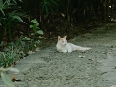 -新洲生态园