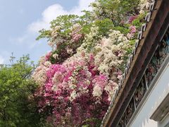 -深圳国际园林花卉博览园