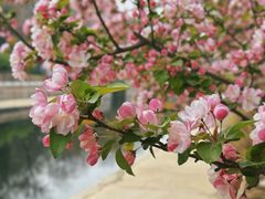 -元大都城垣遗址公园