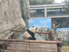 -泉州海丝野生动物世界