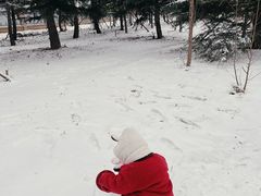 -济南国际园博园