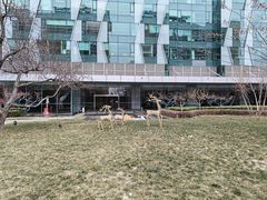 -北京希尔顿逸林酒店