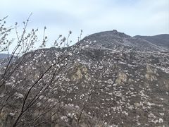 -妙峰山风景名胜区