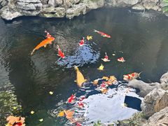 -鲤院·新中式美学·庭院餐厅(夫子庙店)