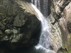 -牛背梁国家森林公园