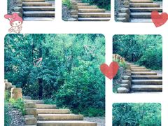 -北京西山国家森林公园