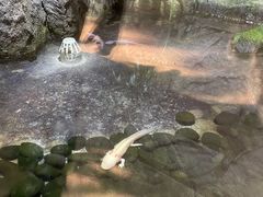 景点-青青世界