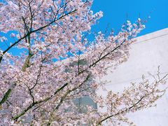 -龙美术馆西岸馆-停车场