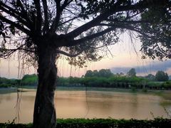 -海南热带海洋学院(三亚校区)