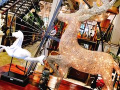 -RGF(巨鹿路店)