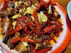 -柴窝堡22号辣子鸡·传承新疆菜