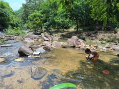 -广州白江湖森林公园