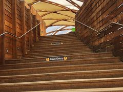 -怀托摩萤火虫洞