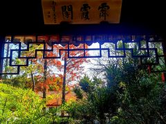 -秋霞圃
