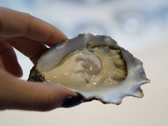 -Oyster Talks 四度蚝法餐厅