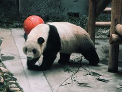 -西安秦岭野生动物园