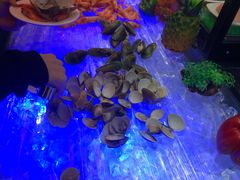 -科尔海悦酒店·柏顿花园餐厅(清河东路店)