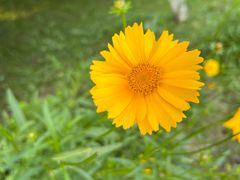 -中国湿地博物馆