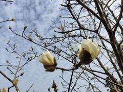 -中国移动南方基地