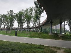 -府河摄影公园