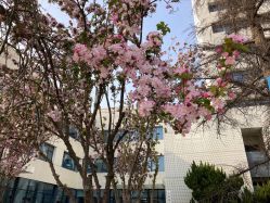 -北京科学中心儿童乐园