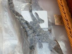 -上海长风大悦城