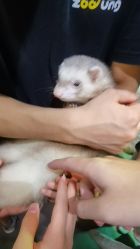 -Zoolung Zoolung动物主题公园(海信广场店)