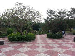 -广东茂名森林公园