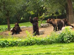 -北京野生动物园
