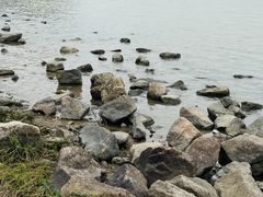 -深圳湾公园(南山区)