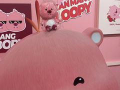 -KAKAO FRIENDS(弘大店)