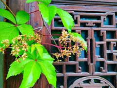 -不盐·而喻的味道
