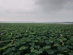 -重元寺香积厨素斋馆