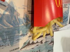 -麦当劳(金山红星美凯龙DT店)