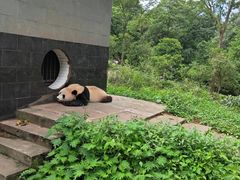 景点-碧峰峡风景区